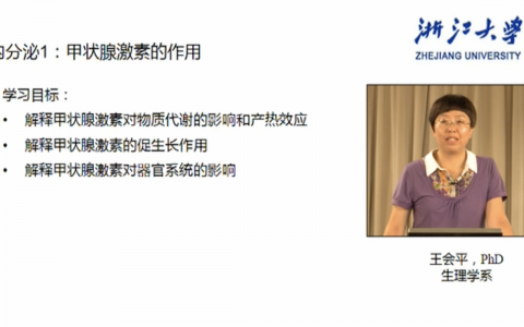 浙江大学生理学_甲状腺激素的作用_王会平