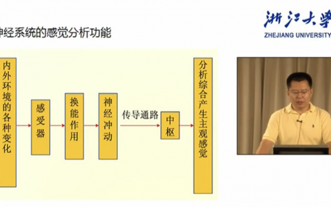 浙江大学生理学_神经系统的感觉分析功能_李月舟