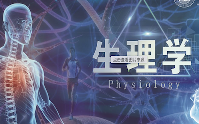 生理学/药理学/病理生理学