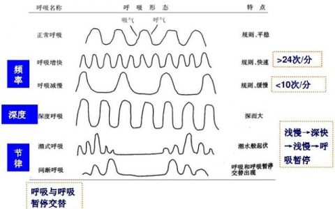 每日一题_2022.3.2