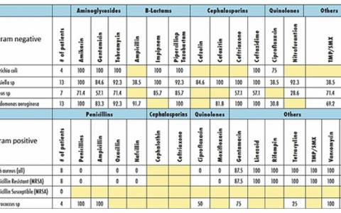 每日一题_2022.3.4