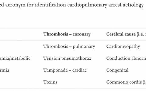 有人提出：心脏骤停病因分类5H5T5C