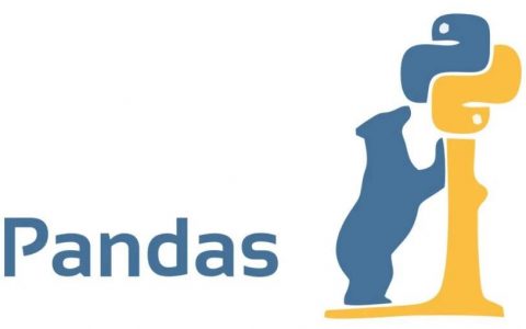 转载：1w 字的 pandas 核心操作知识大全！
