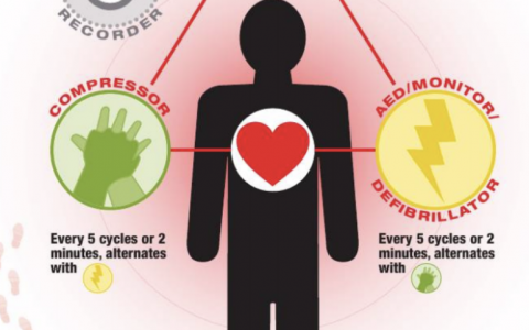 重症知音第20课_心肺脑复苏