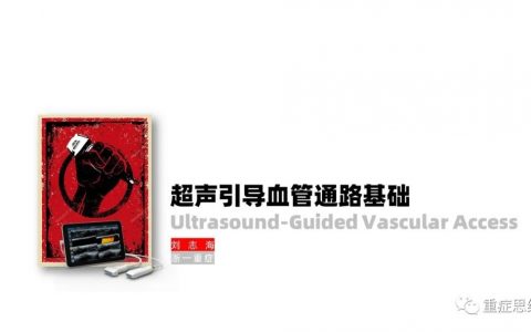 超声引导血管通路基础_浙一刘伯伯