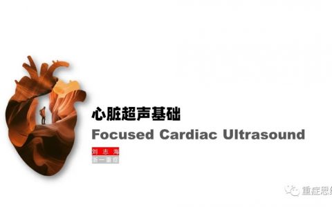 心脏超声基础_浙一刘伯伯