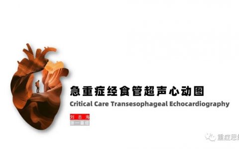 急重症经食管超声心动图_浙一刘伯伯