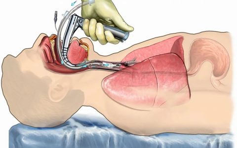 每日一题_2022.3.29