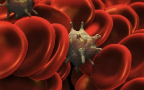 每日一题_2022.4.20