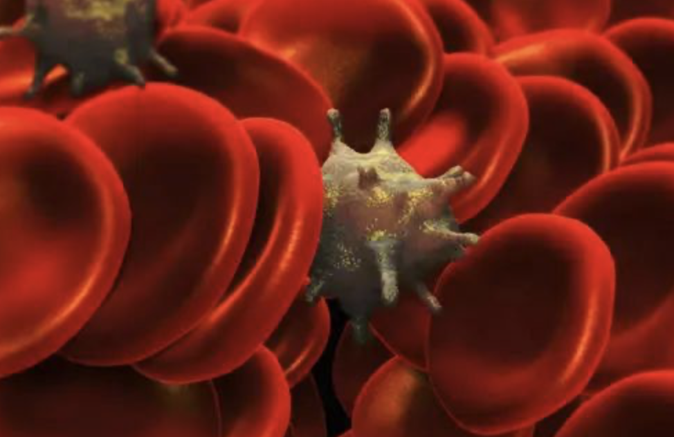 每日一题_2022.4.20