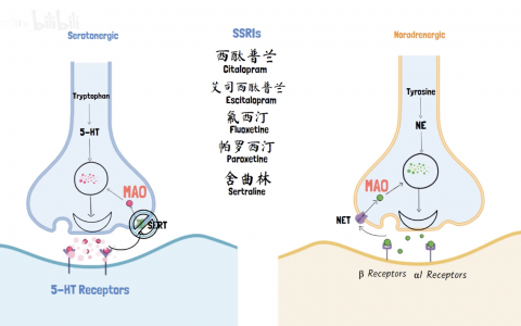 每日一题_2022.4.27