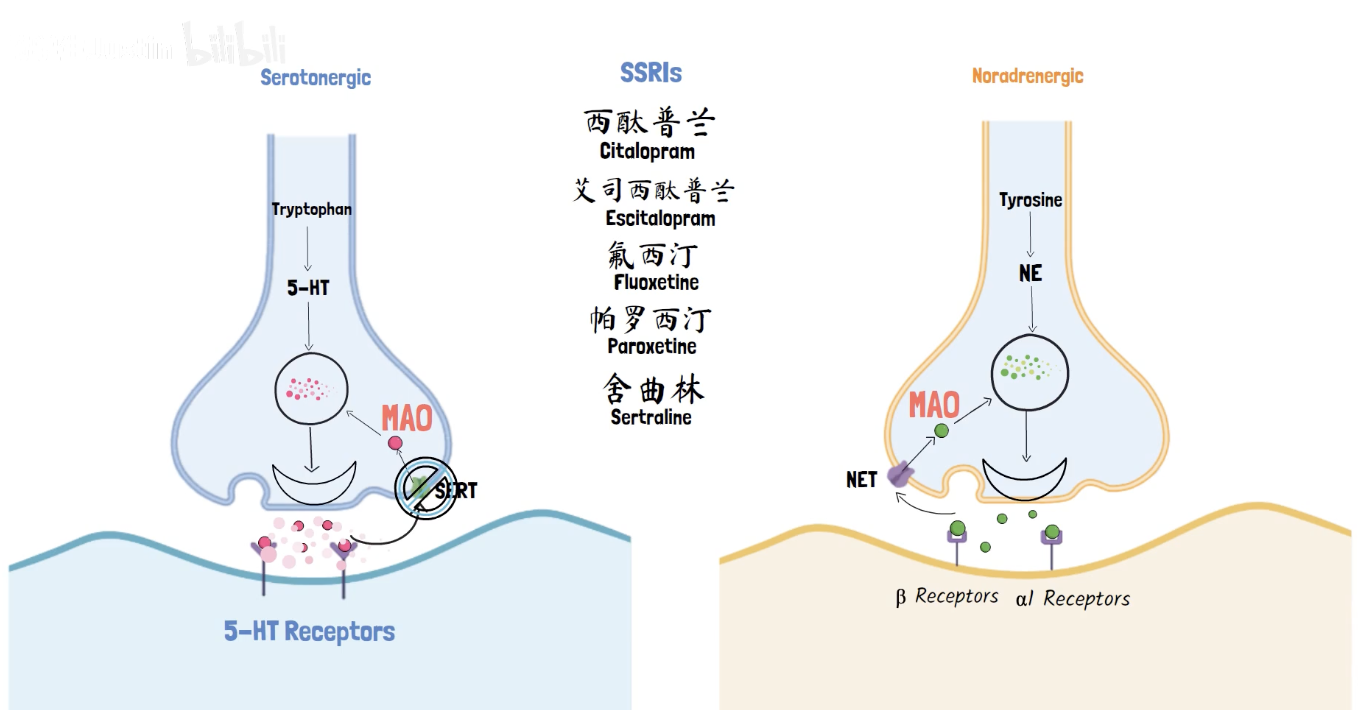 每日一题_2022.4.27