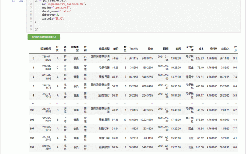 Pandas数据挖掘分析神器Bamboolib