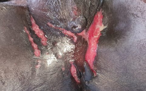 每日一题_2022.4.8