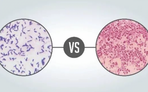 每日一题_2022.5.2