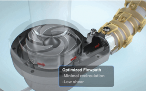 每日一题_2022.5.10