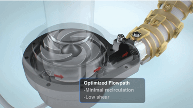 每日一题_2022.5.10