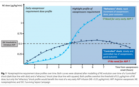 Critical Care：脓毒性休克患者何时开始使用加压素：我们提出的策略