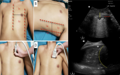 每日一题_2022.05.31