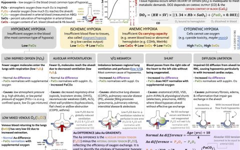 ICU OnePager: 缺氧