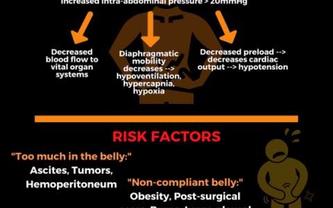 每日一题_2022.5.8