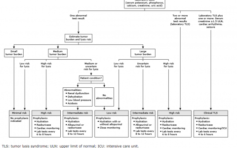 肿瘤溶解综合征