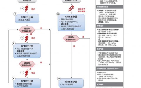 成人心脏骤停流程图2020