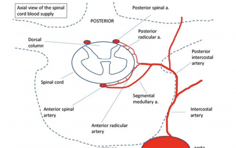 每日一题_2022.06.03