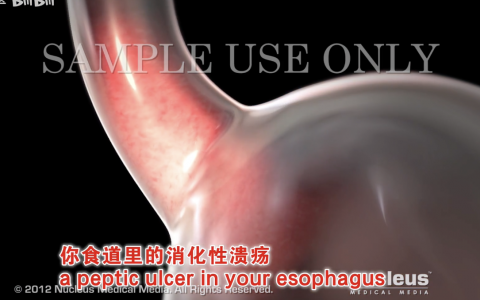 每日一题_2022.06.06