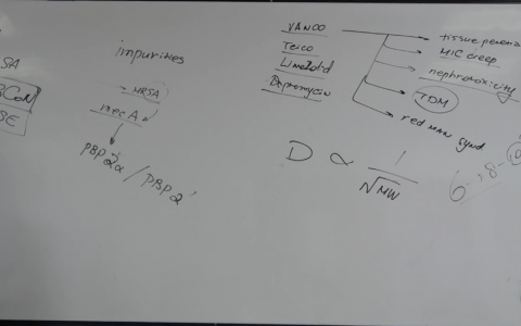 凝固酶阴性葡萄球菌_协和杜斌