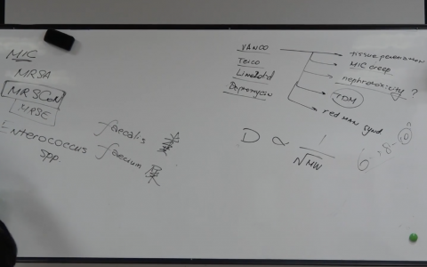 肠球菌_协和杜斌