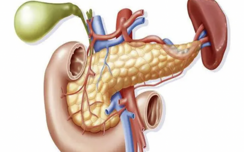 每日一题_2022.06.13