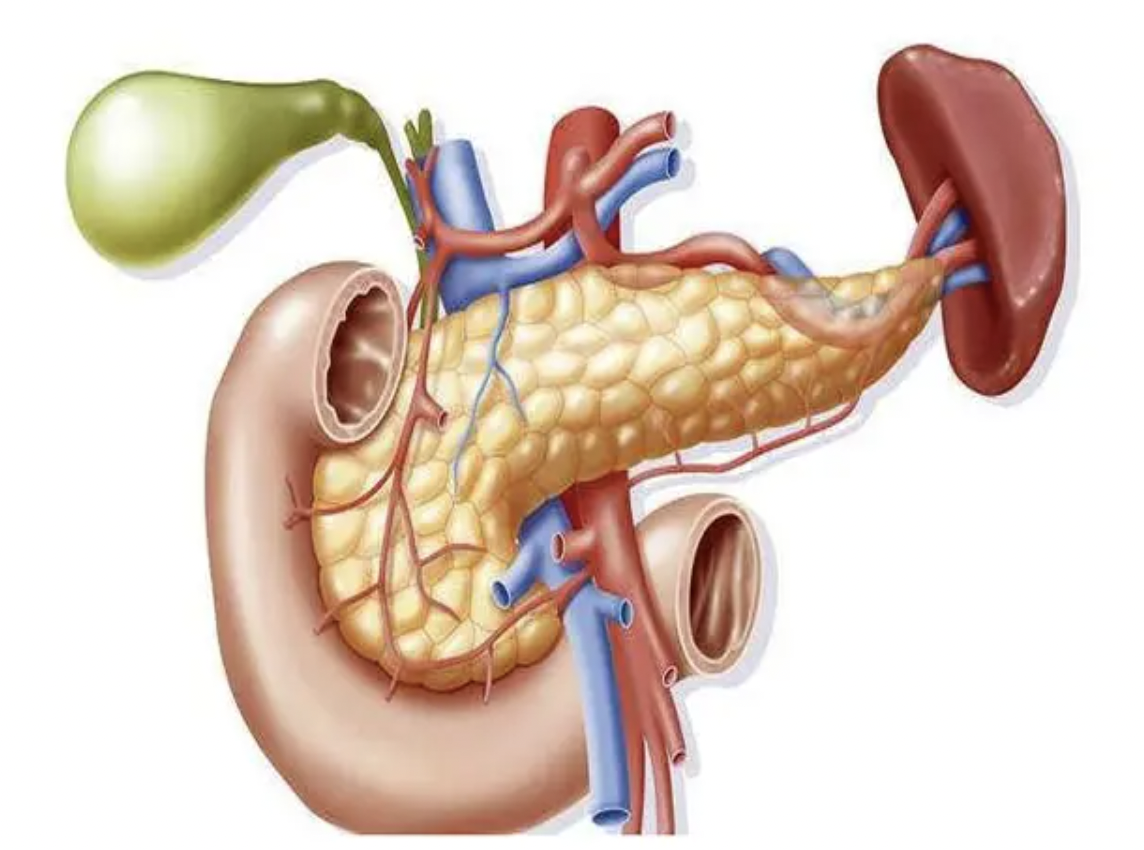 每日一题_2022.06.13