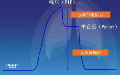 每日一题_2022.06.19