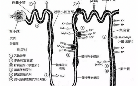 每日一题_2022.06.22