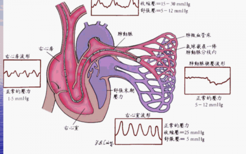 每日一题_2022.06.23