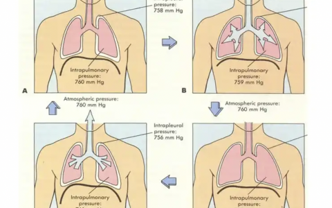 每日一题_2022.06.25