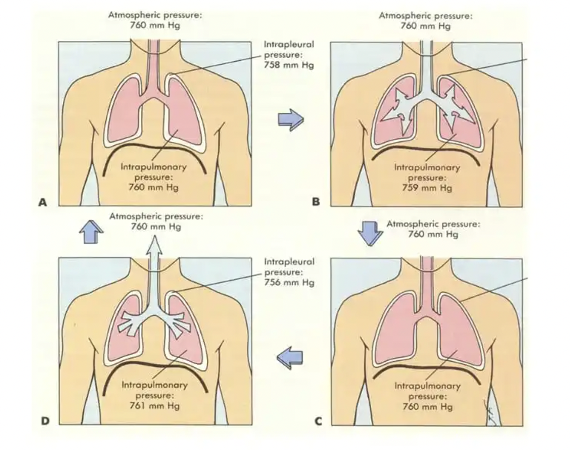 每日一题_2022.06.25