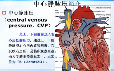 每日一题_2022.06.29