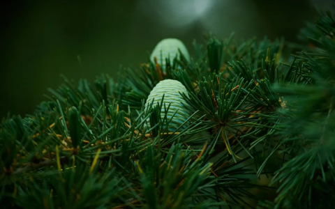 转载6月危通笔记20220620_Newsccm