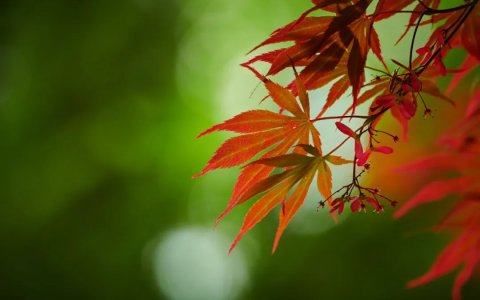 转载危通笔记20220520_Newsccm