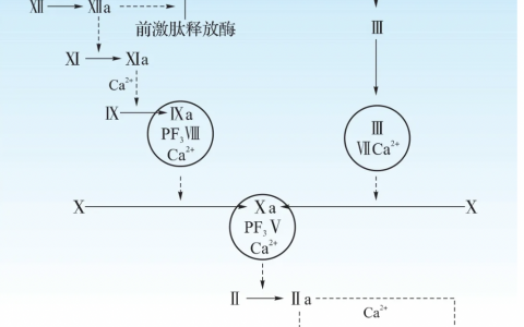 每日一题_2022.07.04