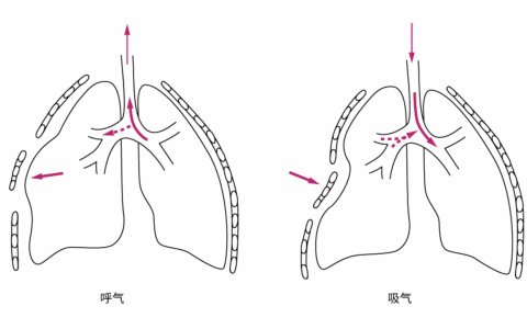 每日一题_2022.07.03