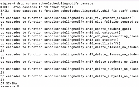 解决ERROR:模式级联删除