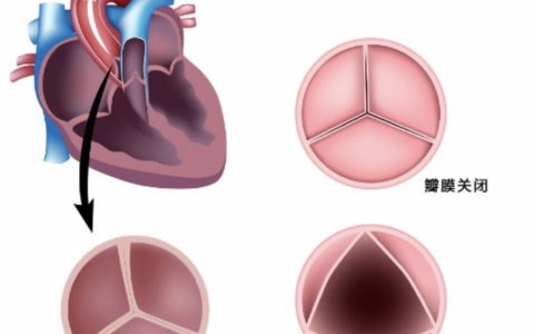 每日一题_2022.07.05