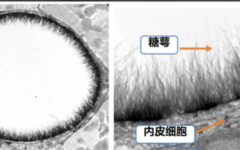 每日一题_2022.07.19