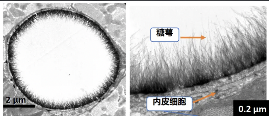 每日一题_2022.07.19