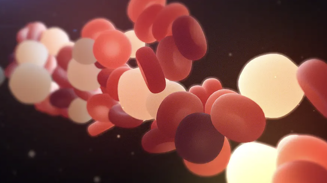 每日一题_2022.07.25