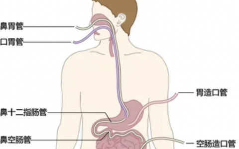 每日一题_2022.07.26