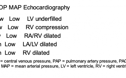 每日一题_2022.07.27